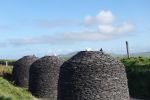 PICTURES/Ring of Kerry - Cahergall, Ballycarbery Castle & Kerry Cliff/t_DSC00372.JPG